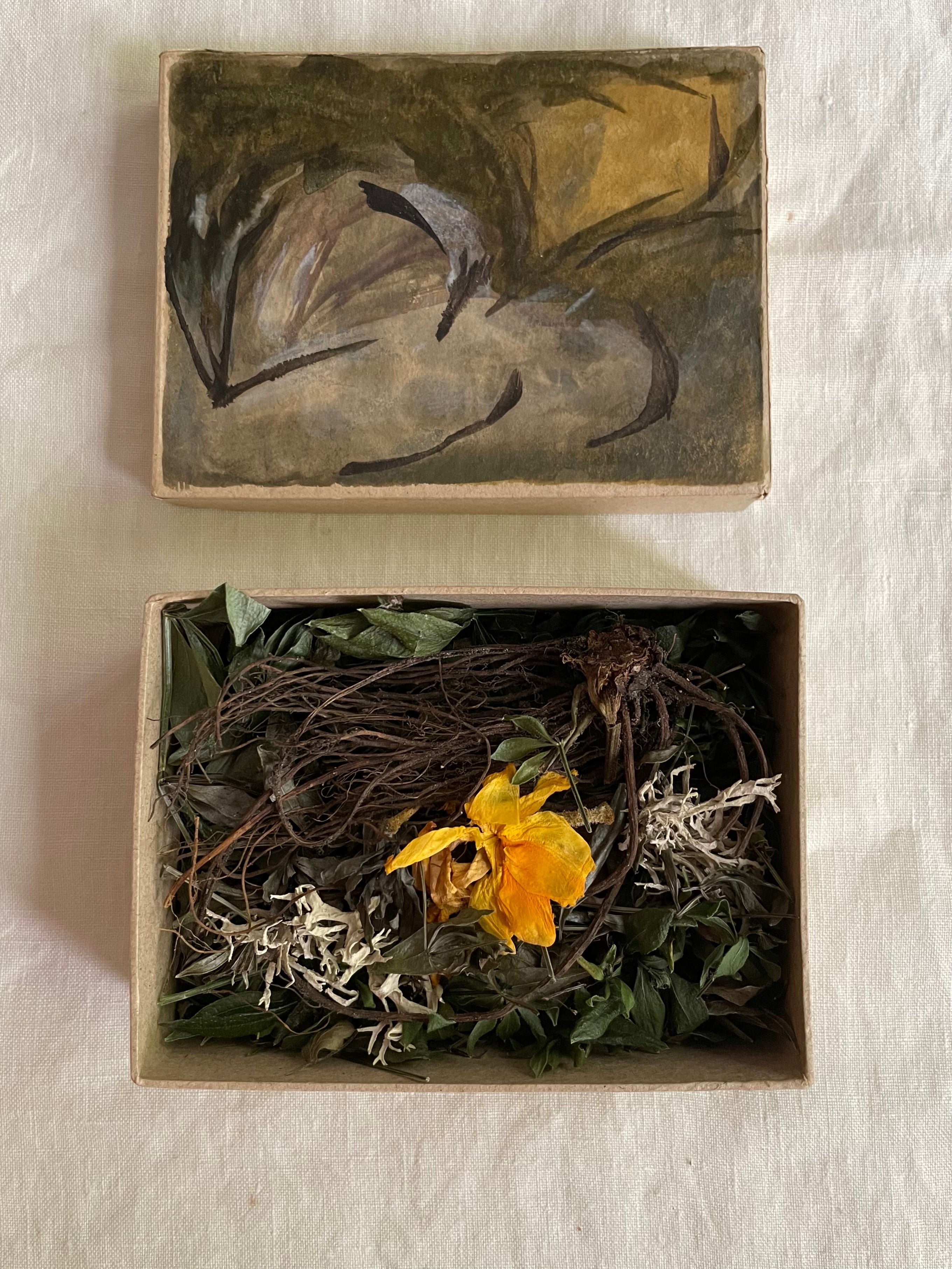 Uit het bos en aan de bosrand