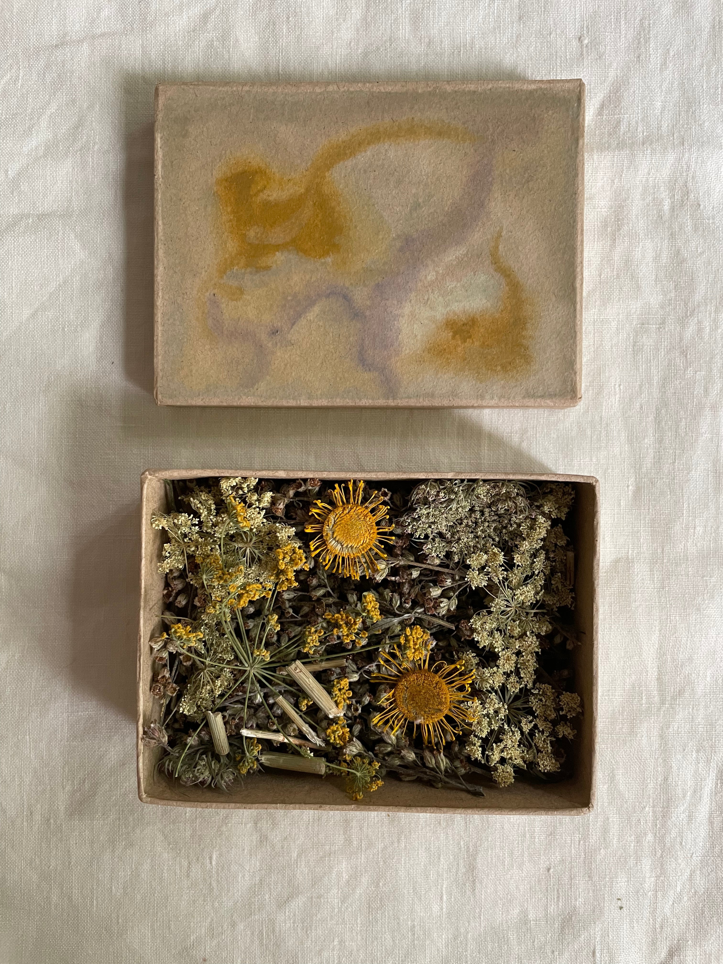 Tussen en in de velden