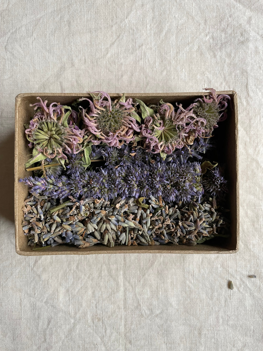 Geurdoosje: kruidig en krachtig.