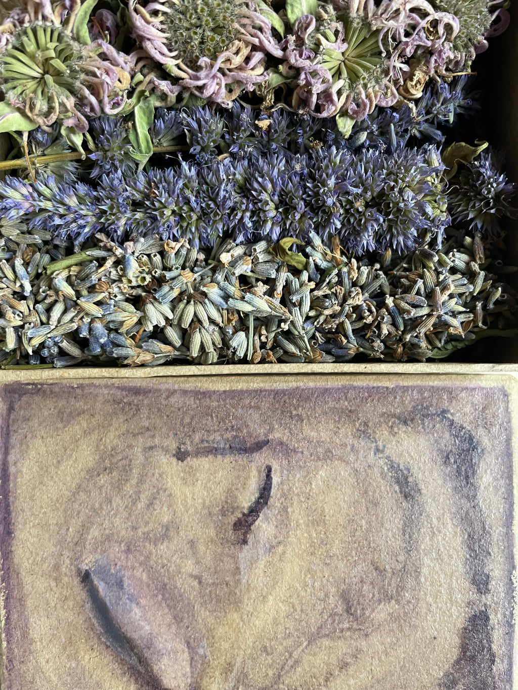 Geurdoosje: kruidig en krachtig.