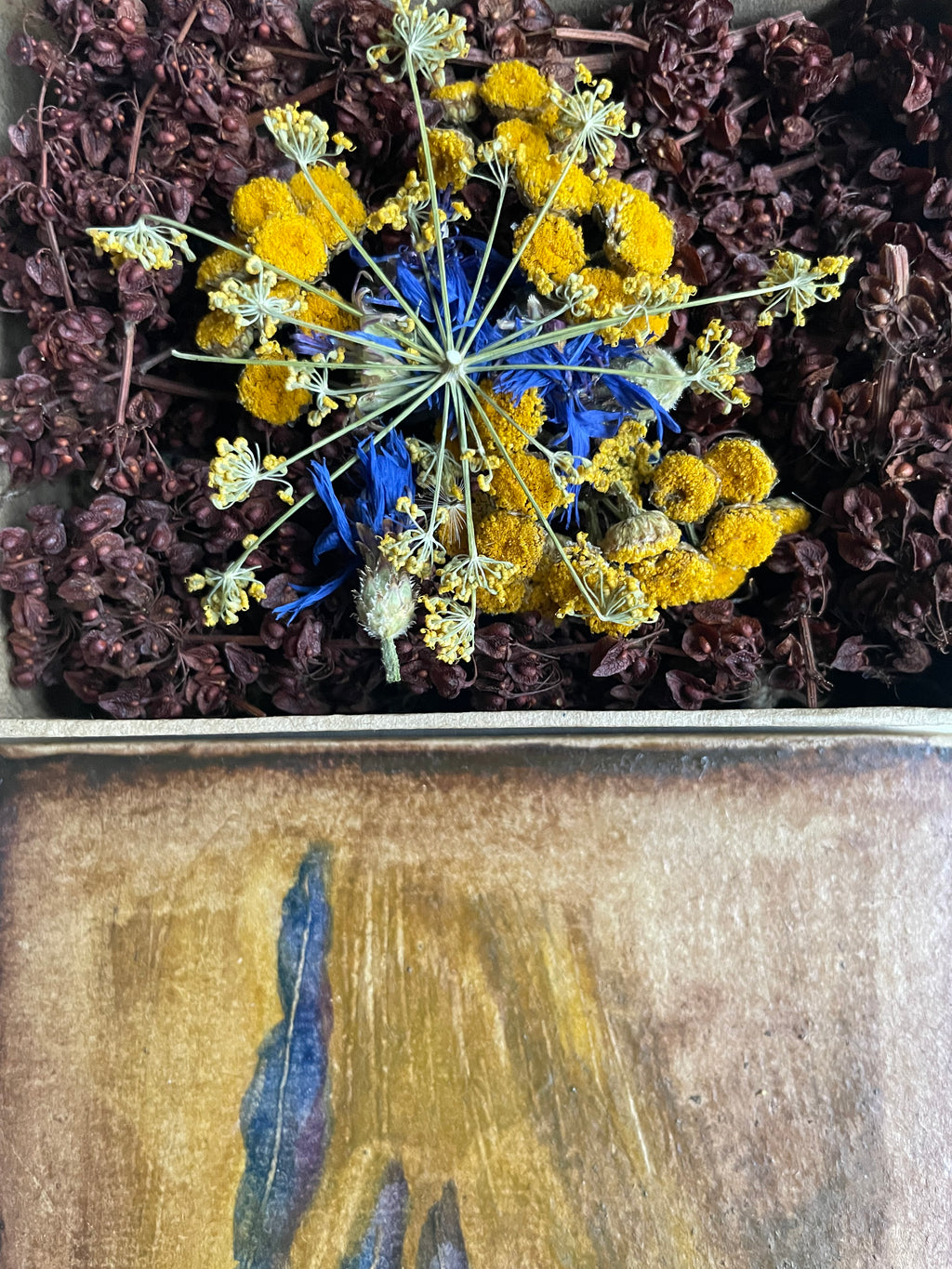 Geurdoosje: hooi en wild.