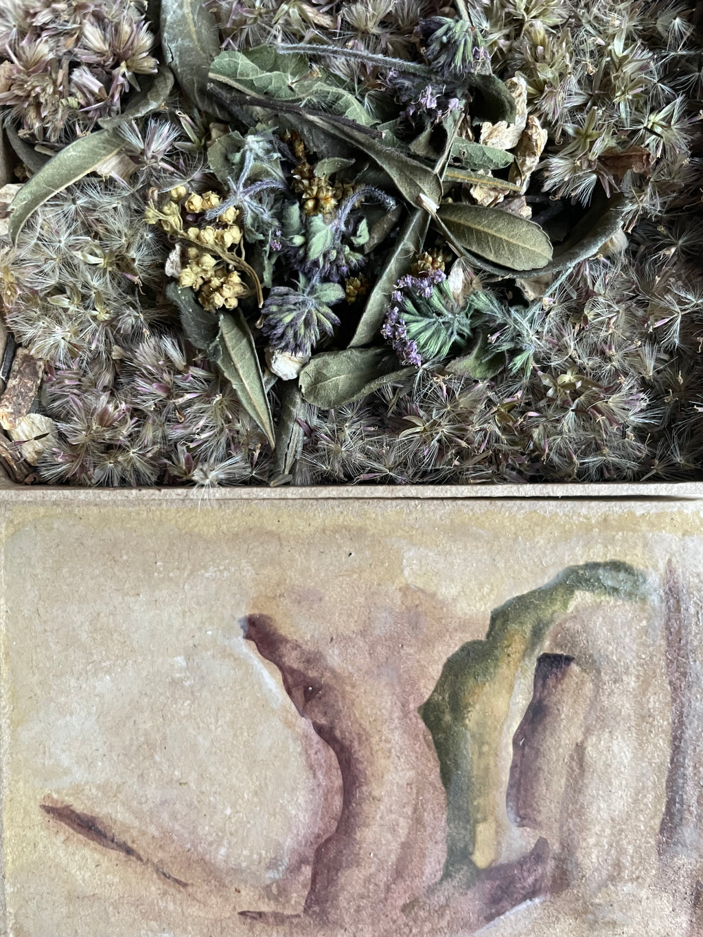 Geurdoosje: mild en munt