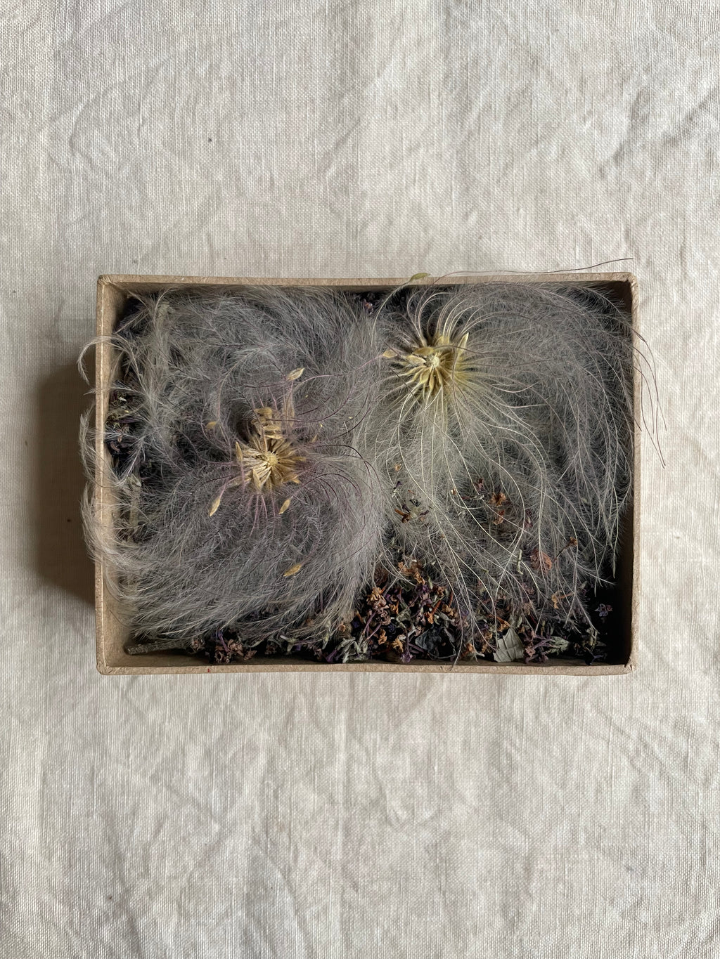 Geurdoosje: aards en zoet