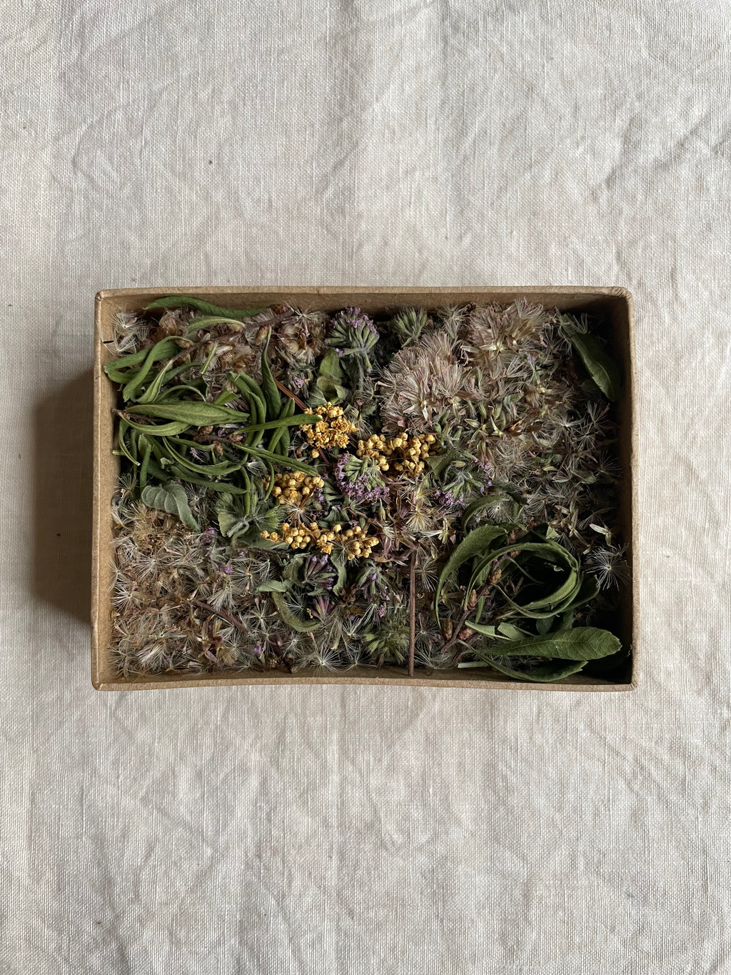 Geurdoosje: mild en munt